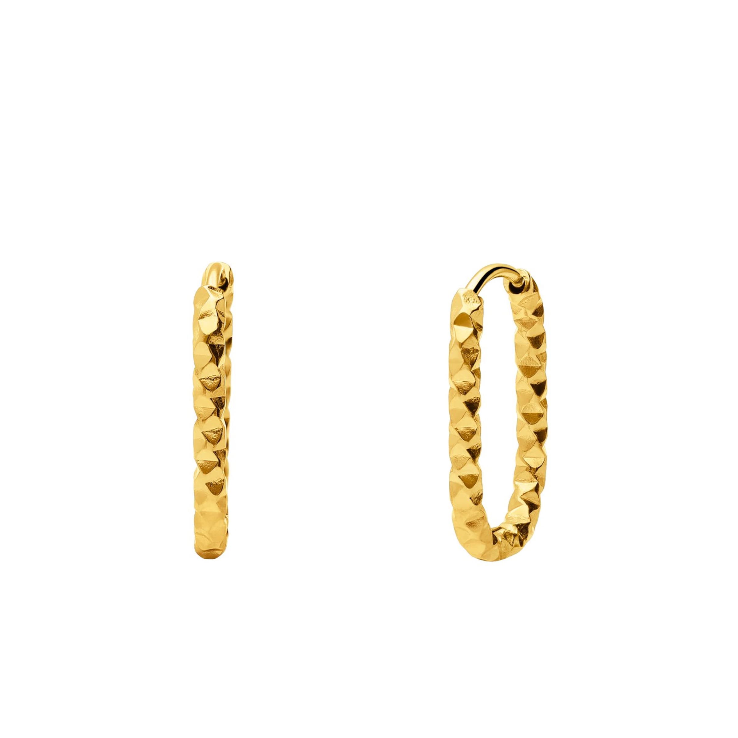 Lucardi Earrings in Gold: front