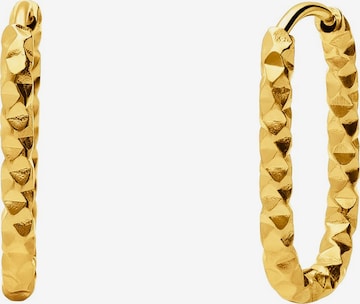 Lucardi Oorbellen in Goud: voorkant