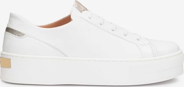 Kazar Sneakers in White