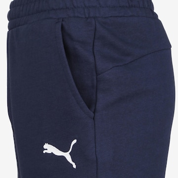 PUMA Loose fit Workout Pants 'Team Goal 23' in Blue