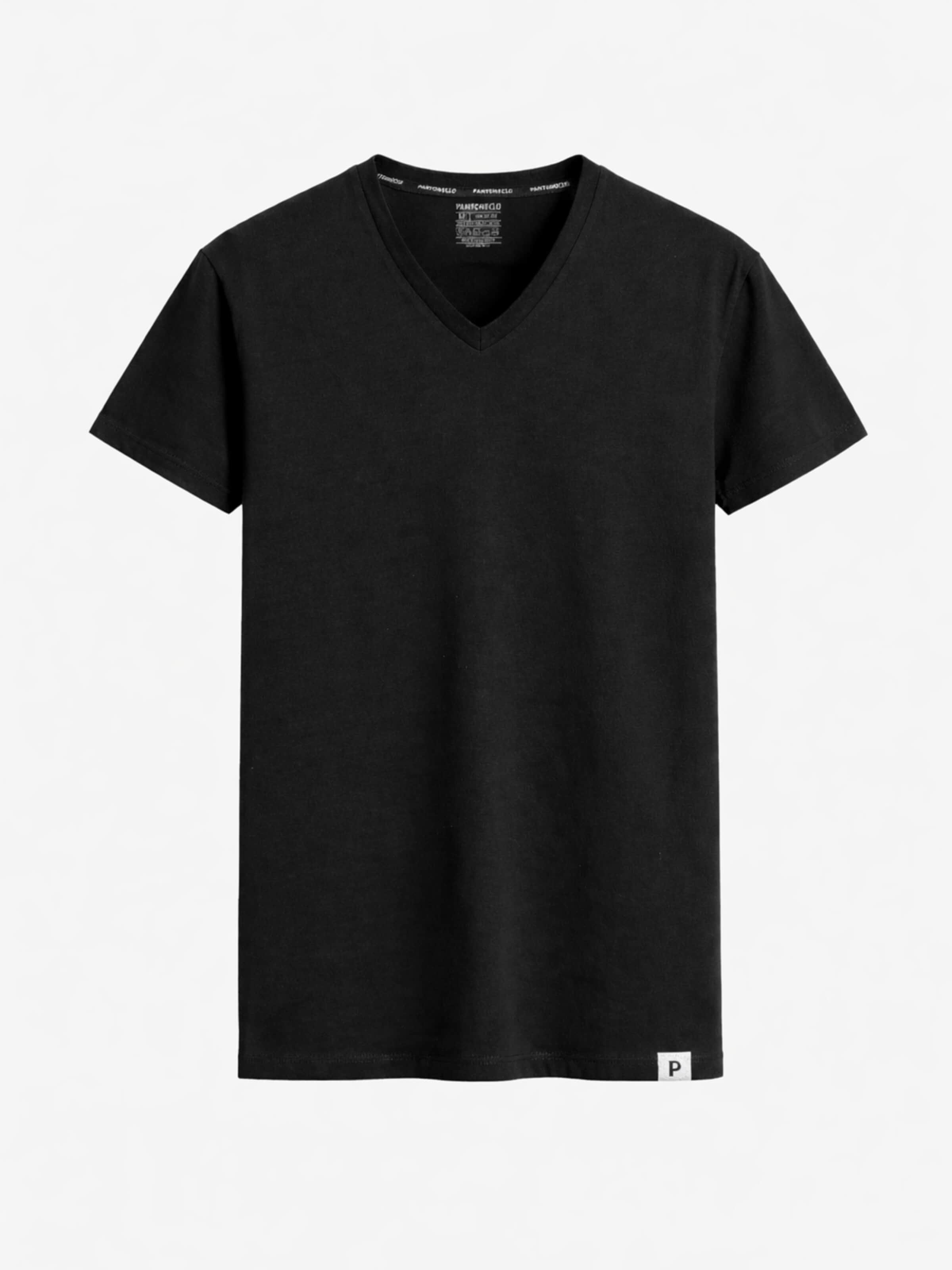PANTONECLO Shirt 'Pantoneclo Men’s Bamboo T-Shirt V-Neck'‌‌‌‌‌‌ in Schwarz: Vorderseite