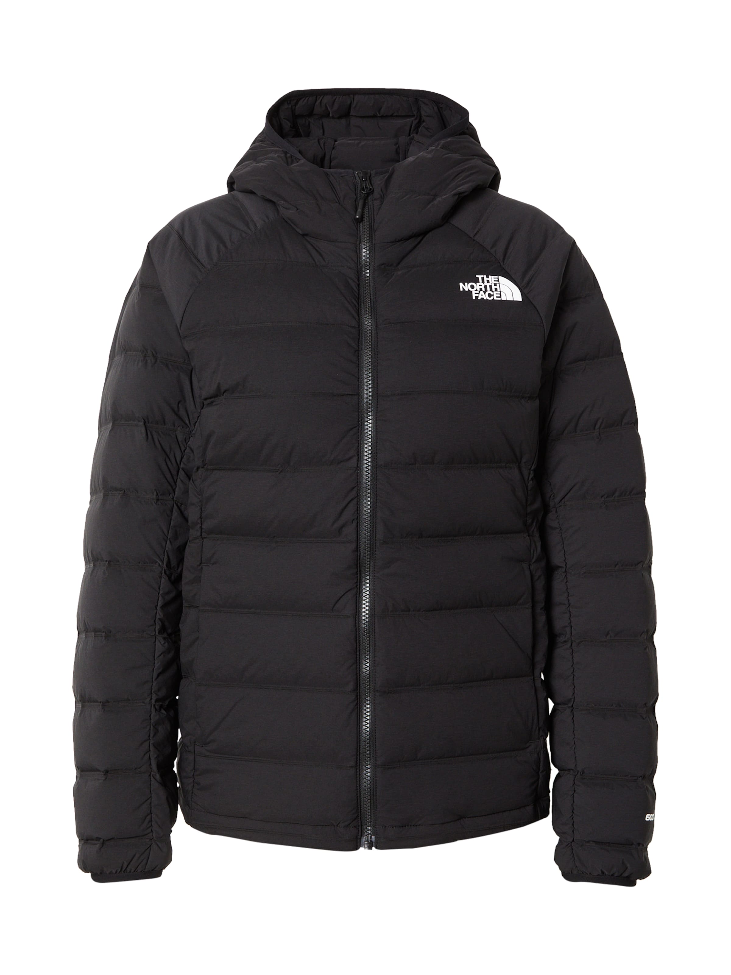 THE NORTH FACE Outdoorjas in Zwart: voorkant