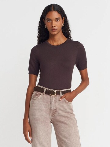 Dilvin - Pullover 'Pullover' em castanho: frente