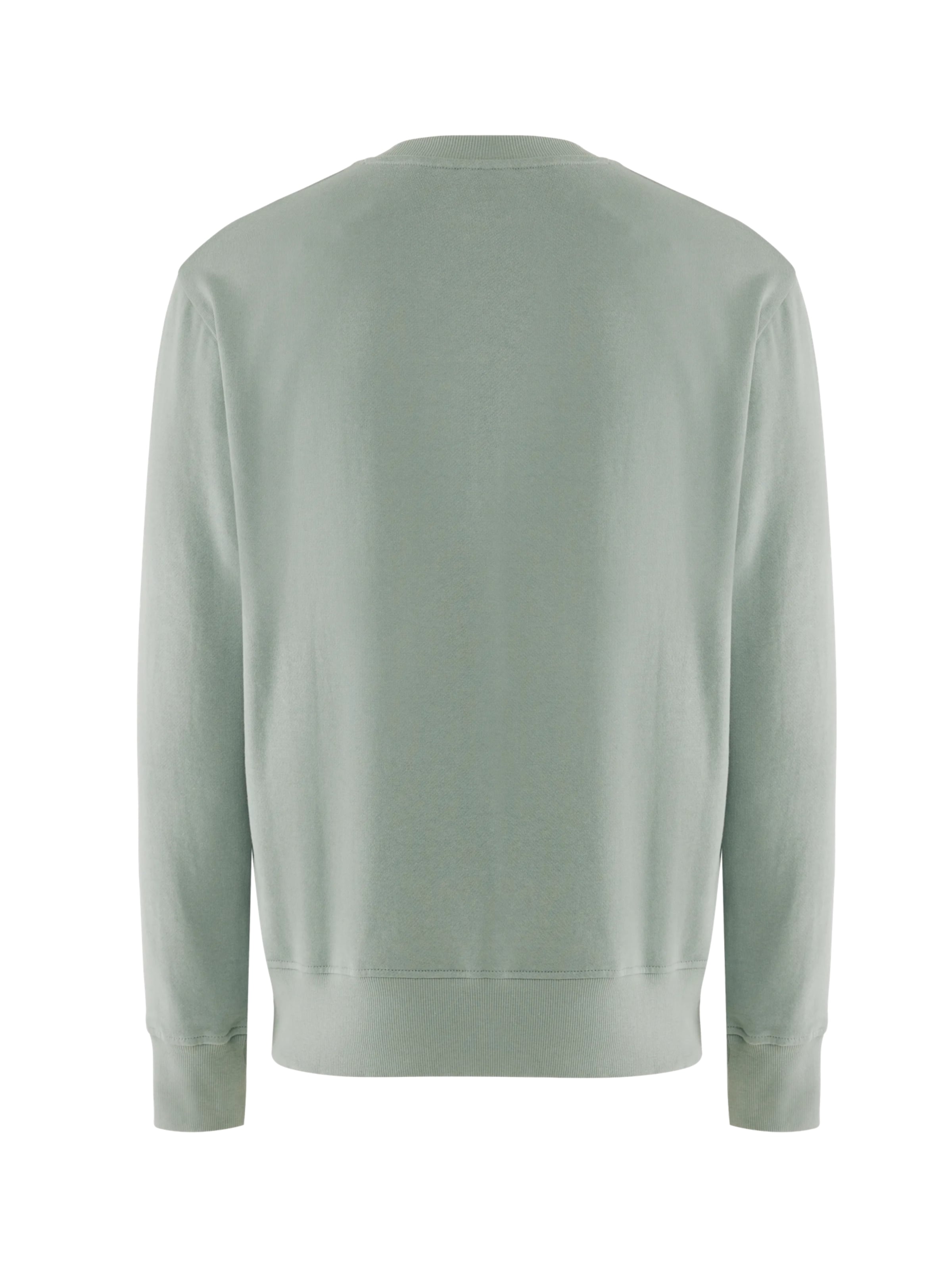 MEXX Majica 'Eiger' | zelena barva