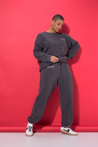 Studio Untold Regular Broek in Grijs