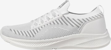 Baskets basses 'Baxley' JACK & JONES en blanc : devant