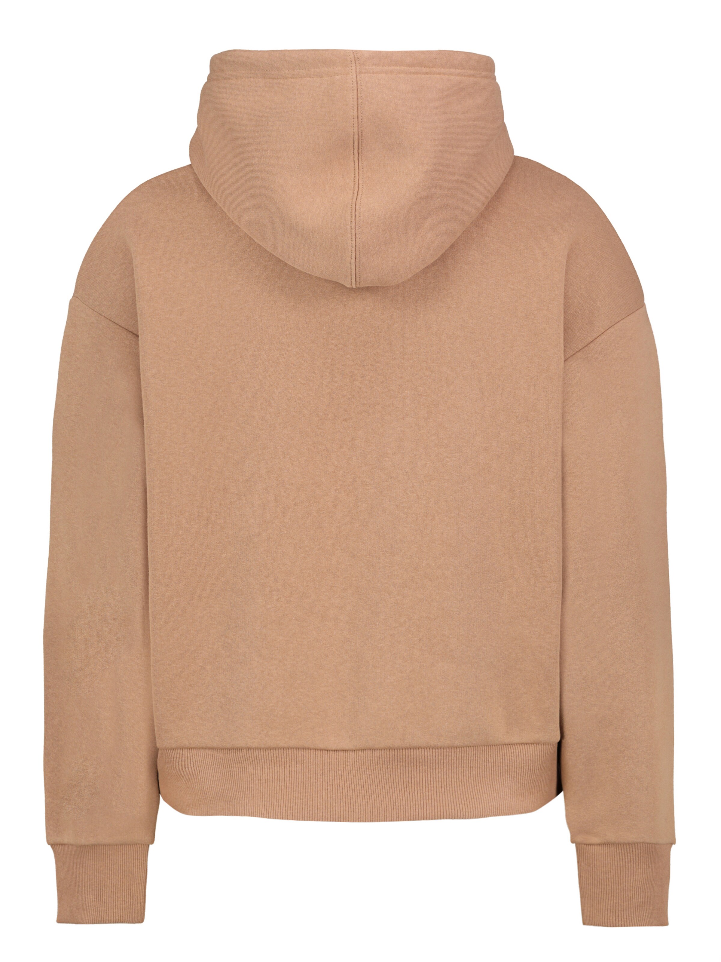 Sublevel Sweatshirt in Braun
