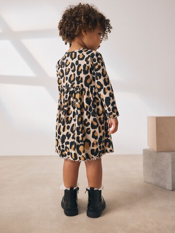 Next Kleid in Mischfarben