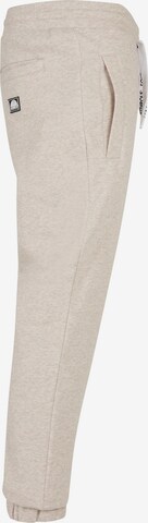 SOUTHPOLE Tapered Hose 'Southpole' in Beige