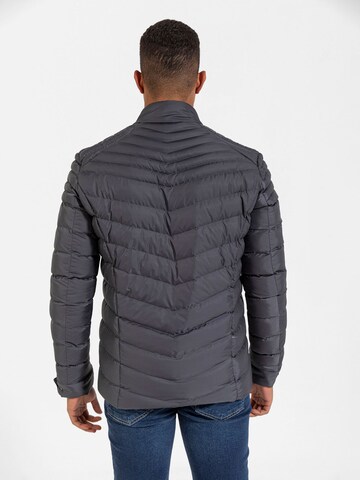 Veste d’hiver Daniel Hills en gris