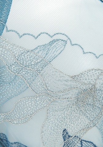Reggiseno di LASCANA in blu