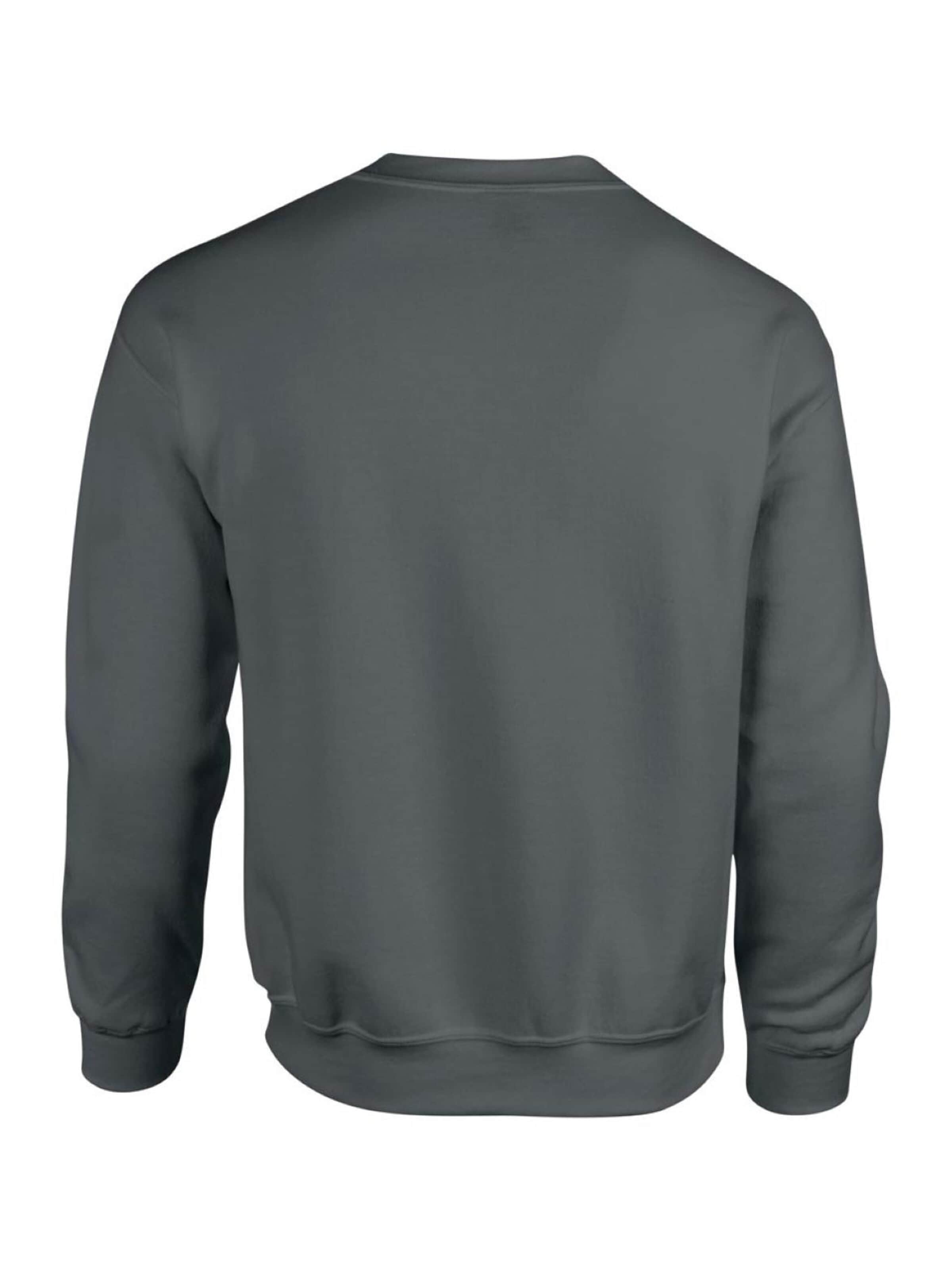 Thin Lizzy Sweatshirt 'Thin Lizzy Boys Are Back in Town Sweatshirt' i grå