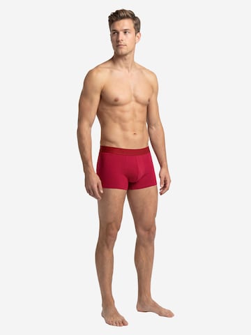 Bruno Banani Boxer shorts 'Flowing' in Red
