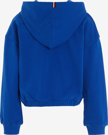 TOMMY HILFIGER Sweatshirt in Blue