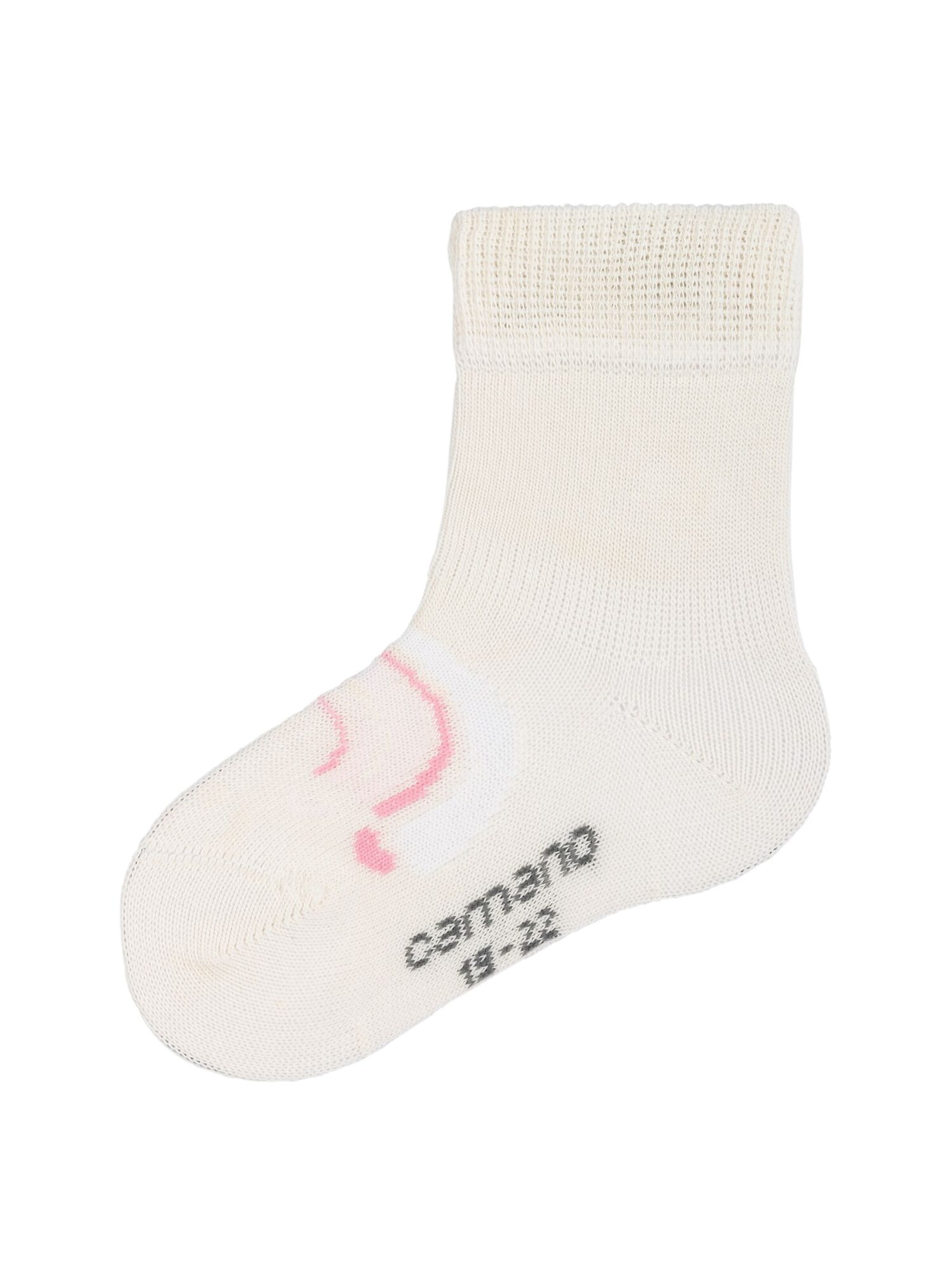 camano Socks in Purple