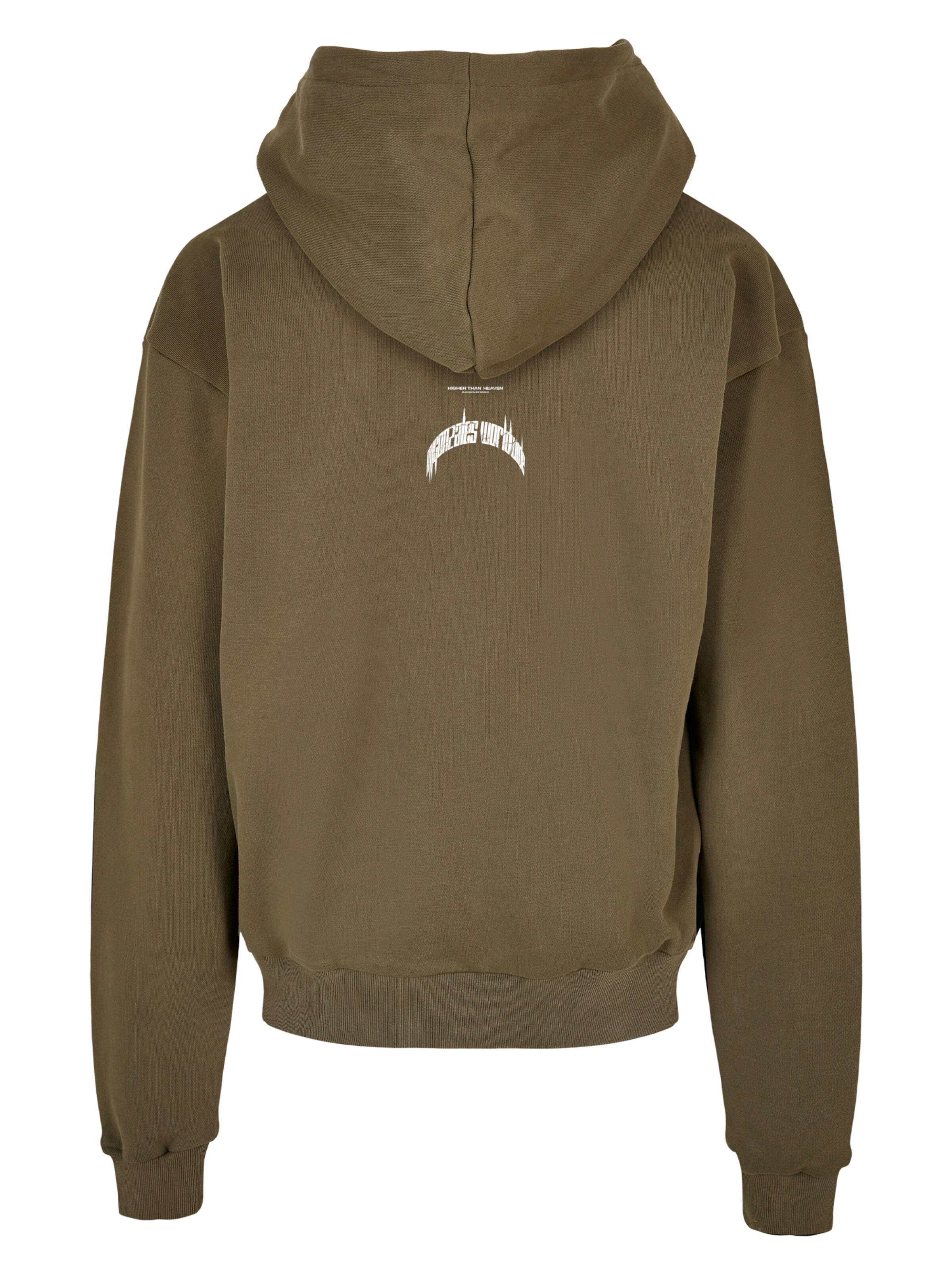 MJ Gonzales Sweatshirt 'Higher Than Heaven' i grøn