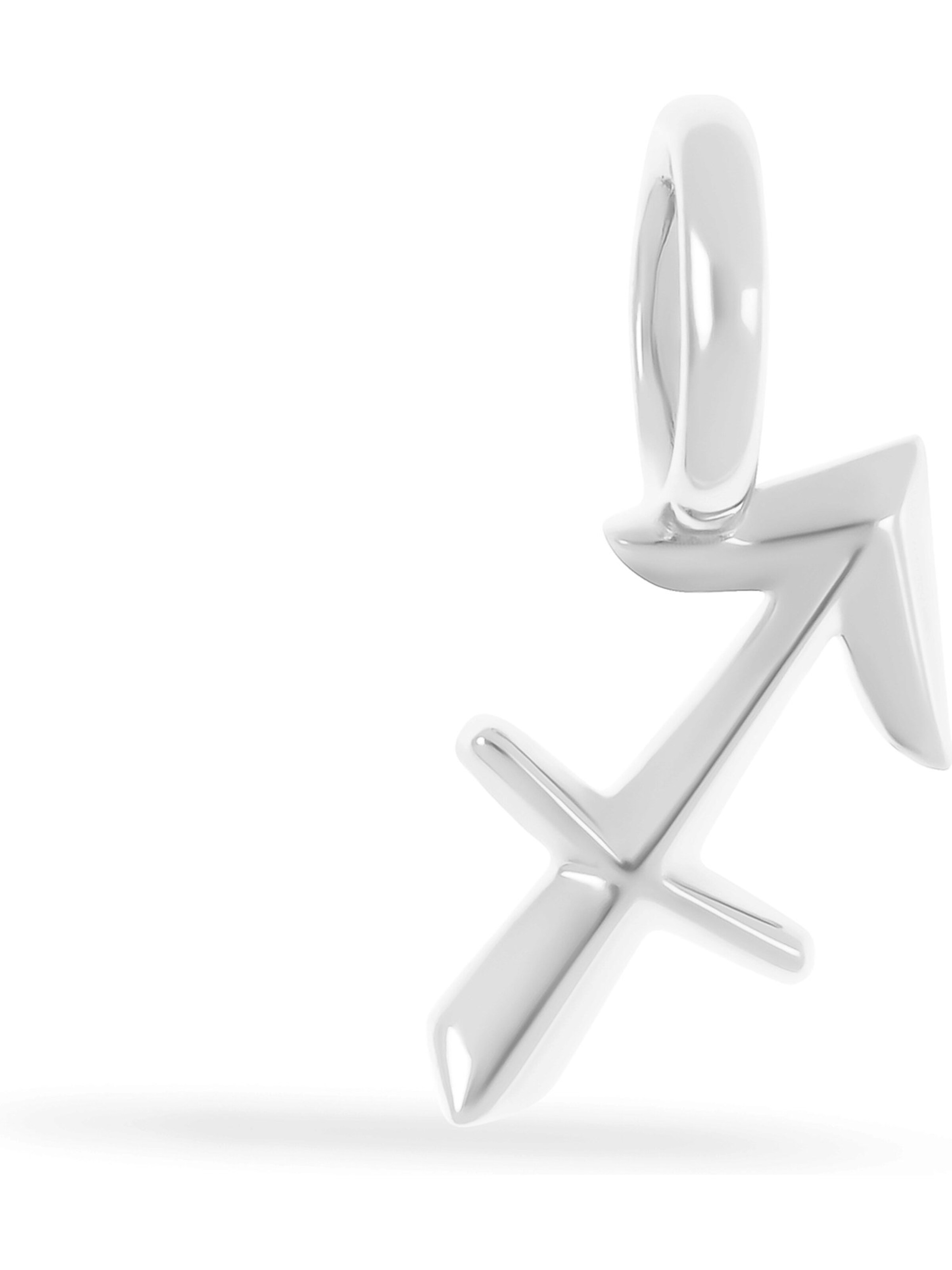 FAVS Anhänger in Silber: Vorderseite