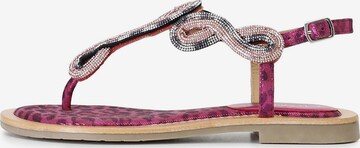 CAFè NOIR Sandalen met riem in Roze: voorkant