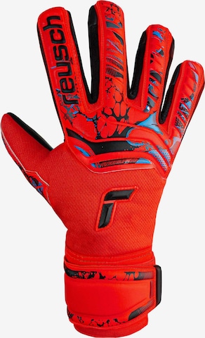 REUSCH Sporthandschuhe 'Attrakt Grip Evolution' in Rot