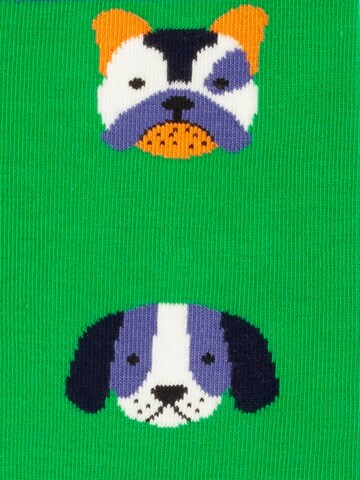 DillySocks Socks 'Short Fluffy Weather' in Mixed colours