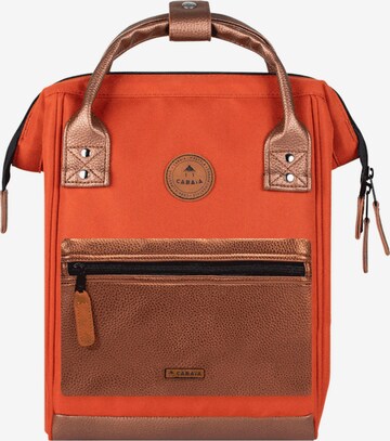 Cabaia Backpack in Brown: front