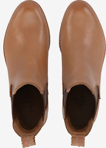 Crickit Chelsea Boots in Brown