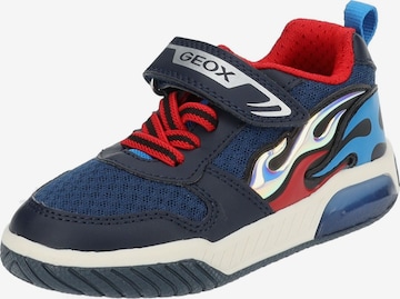 Baskets GEOX en bleu : devant