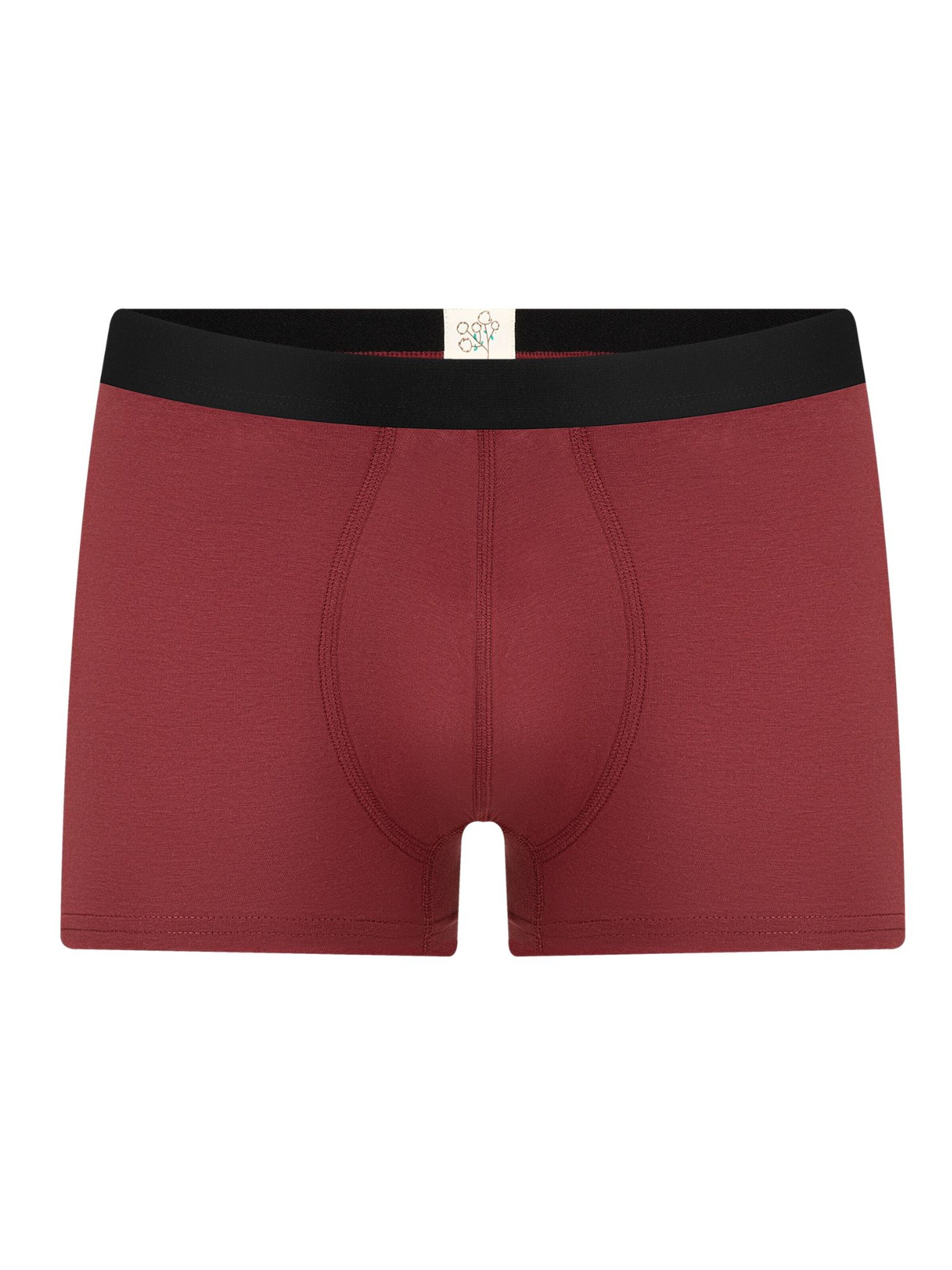 Albero Natur Boxershorts 'Herren Trunkshorts aus Bio-Baumwolle'‌‌ in Rot: Vorderseite
