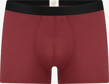 Albero Natur Boxershorts 'Herren Trunkshorts aus Bio-Baumwolle' in Rot: Vorderseite