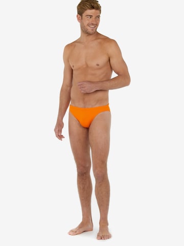 HOM Swim Trunks 'Sea Life' in Orange