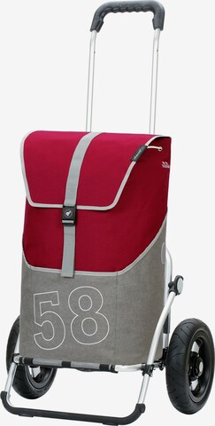 Trolley 'Filip' di Andersen Shopper in rosso: frontale