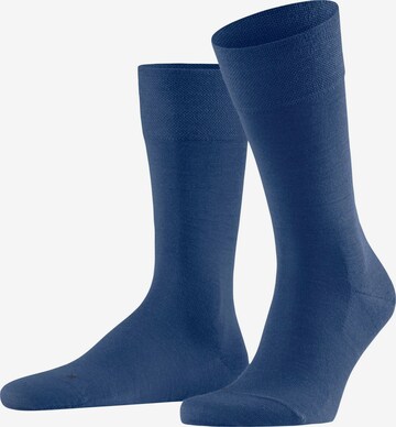 FALKE Socken 'Sensitive Berlin' in Blau: Vorderseite