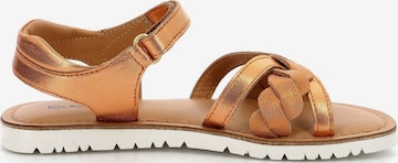 Kickers Sandals in Orange