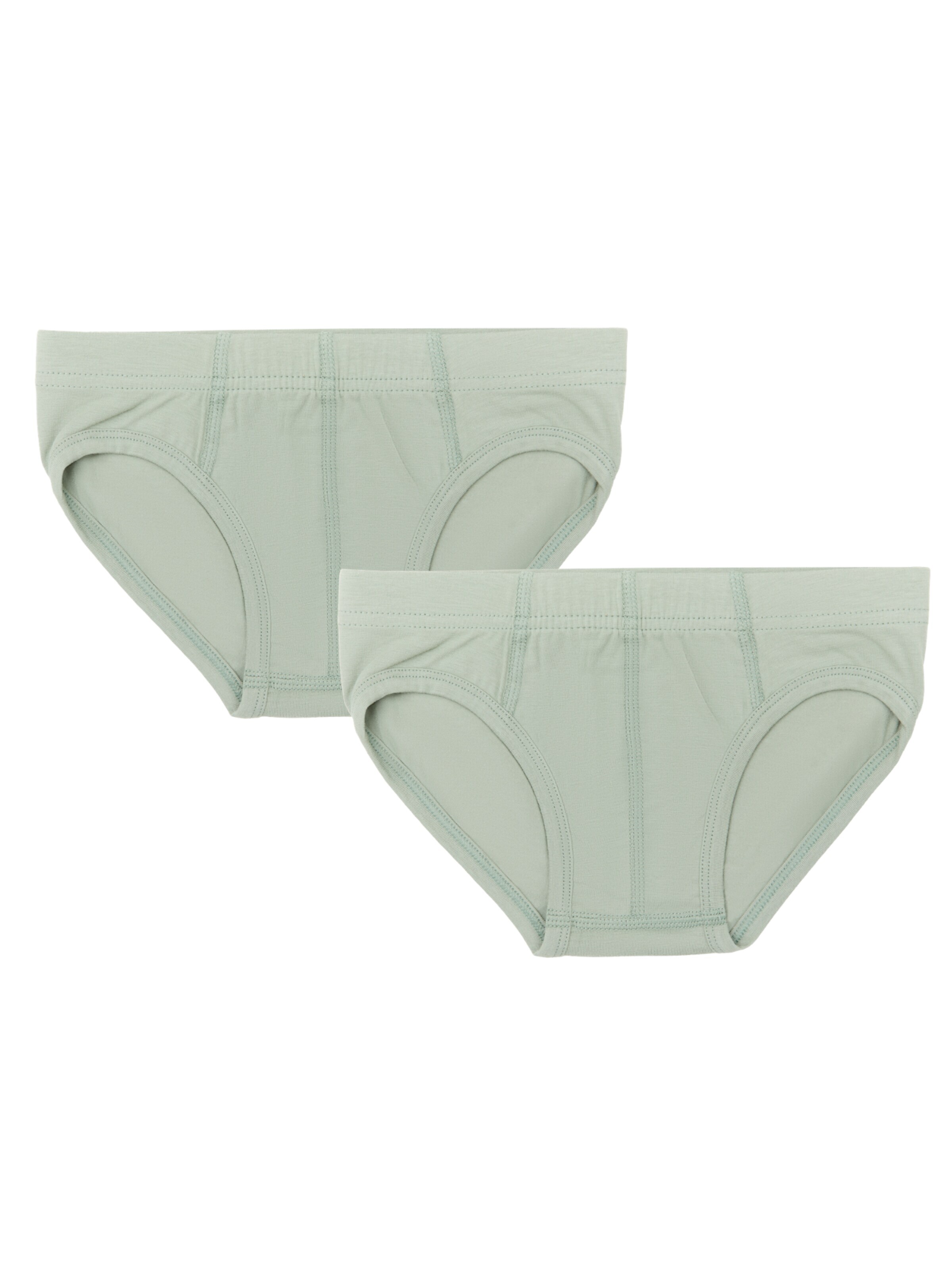 Albero Natur Underpants 'Bio-Baumwoll-Jungenslip-2er Pack' in Green: front