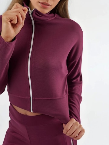 Hiccup Kostuum in Rood