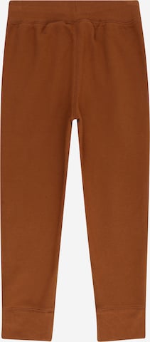 GAP Tapered Pants in Brown
