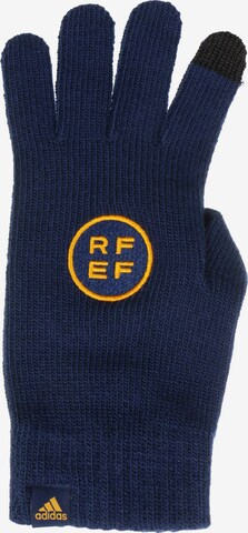 ADIDAS SPORTSWEAR Athletic Gloves 'FEF Spanien' in Blue