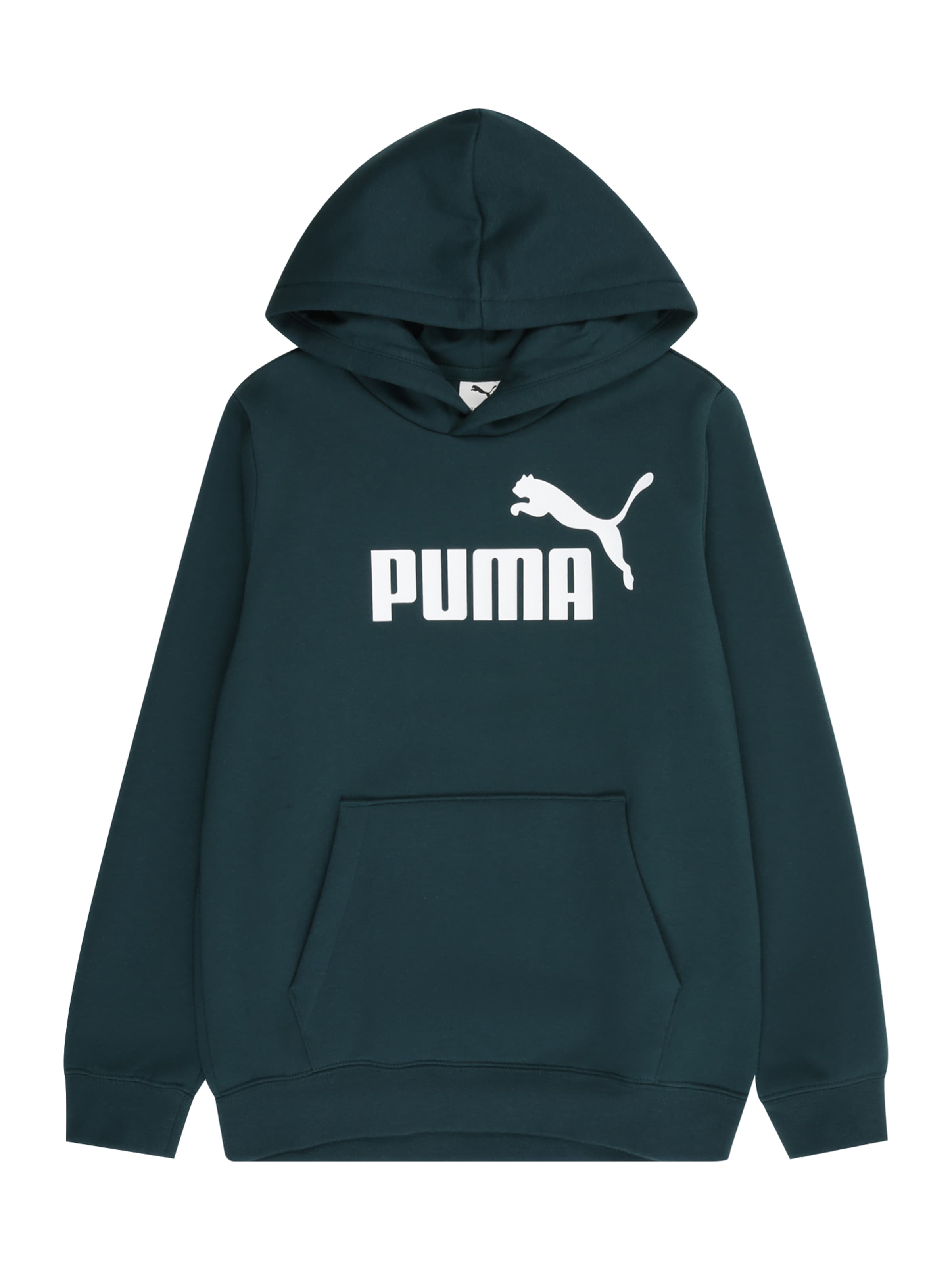 PUMA Свитшот 'Ess No. 1' в Зеленый: спереди
