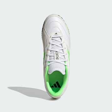 Chaussure de foot 'Top Sala Competition 2' ADIDAS PERFORMANCE en blanc