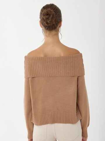Hiccup Pulover 'Pullover' | rjava barva