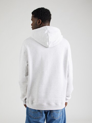 Iriedaily Regular Fit Sweatshirt i grå
