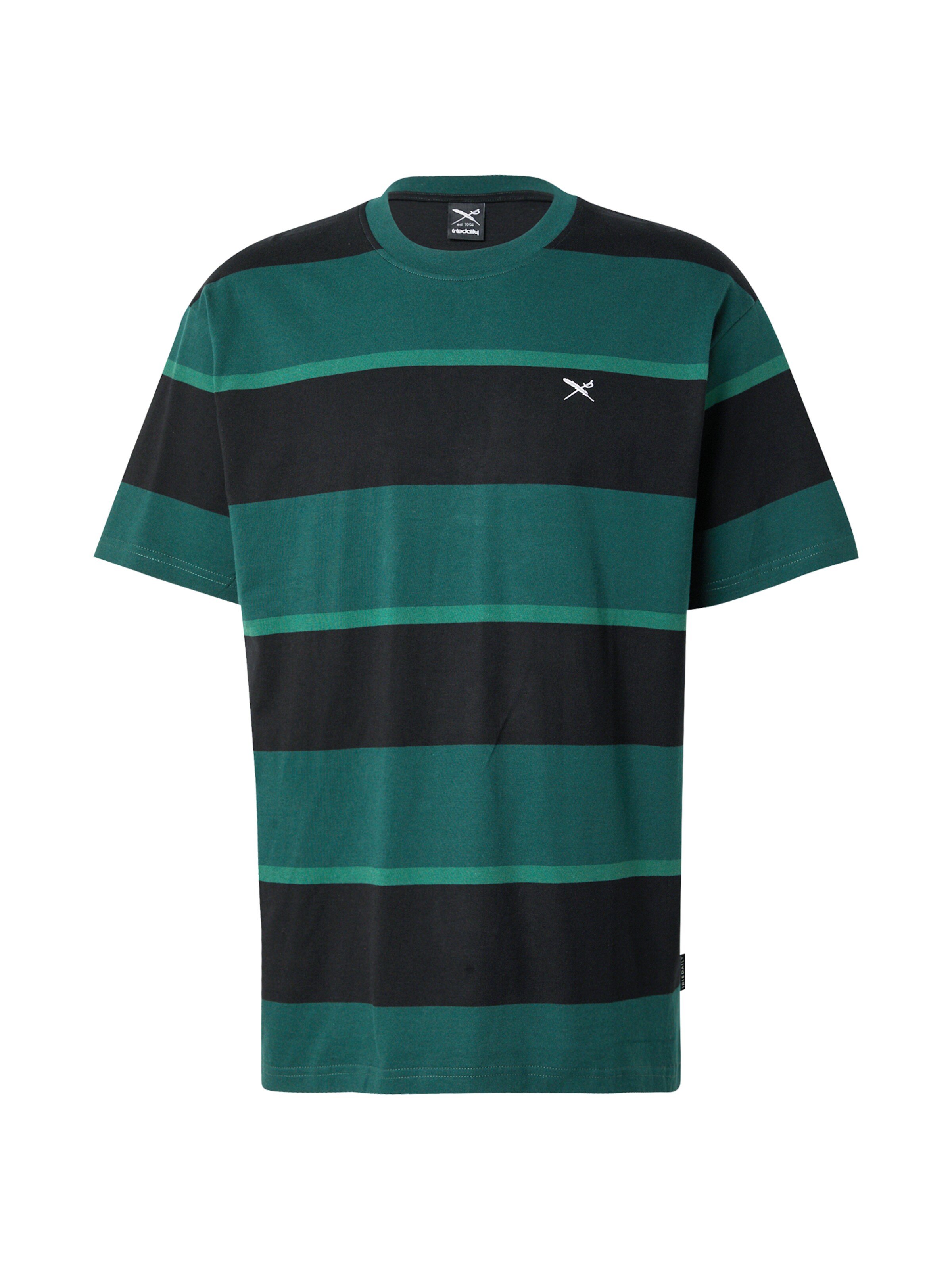 Iriedaily Футболка 'Boldness' в Зеленый: спереди