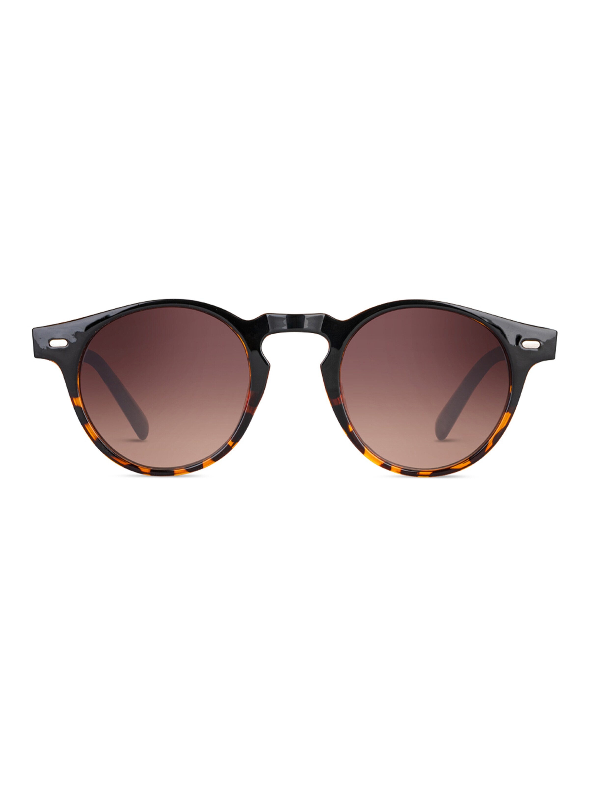 TWIG Concept Milano Sunglasses 'Mendel' in Brown