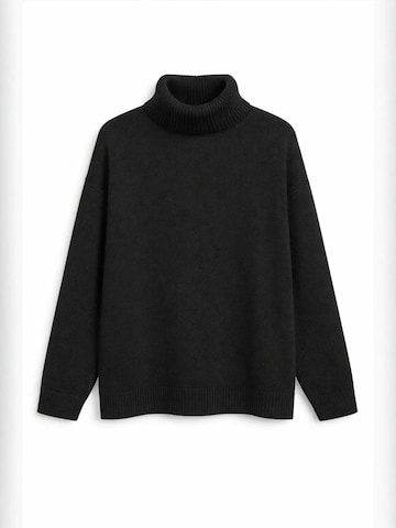 Pullover 'Pullover' di MixRay in nero: frontale