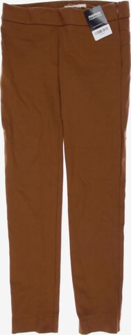 ViCOLO Northland Pants in M in Brown: front