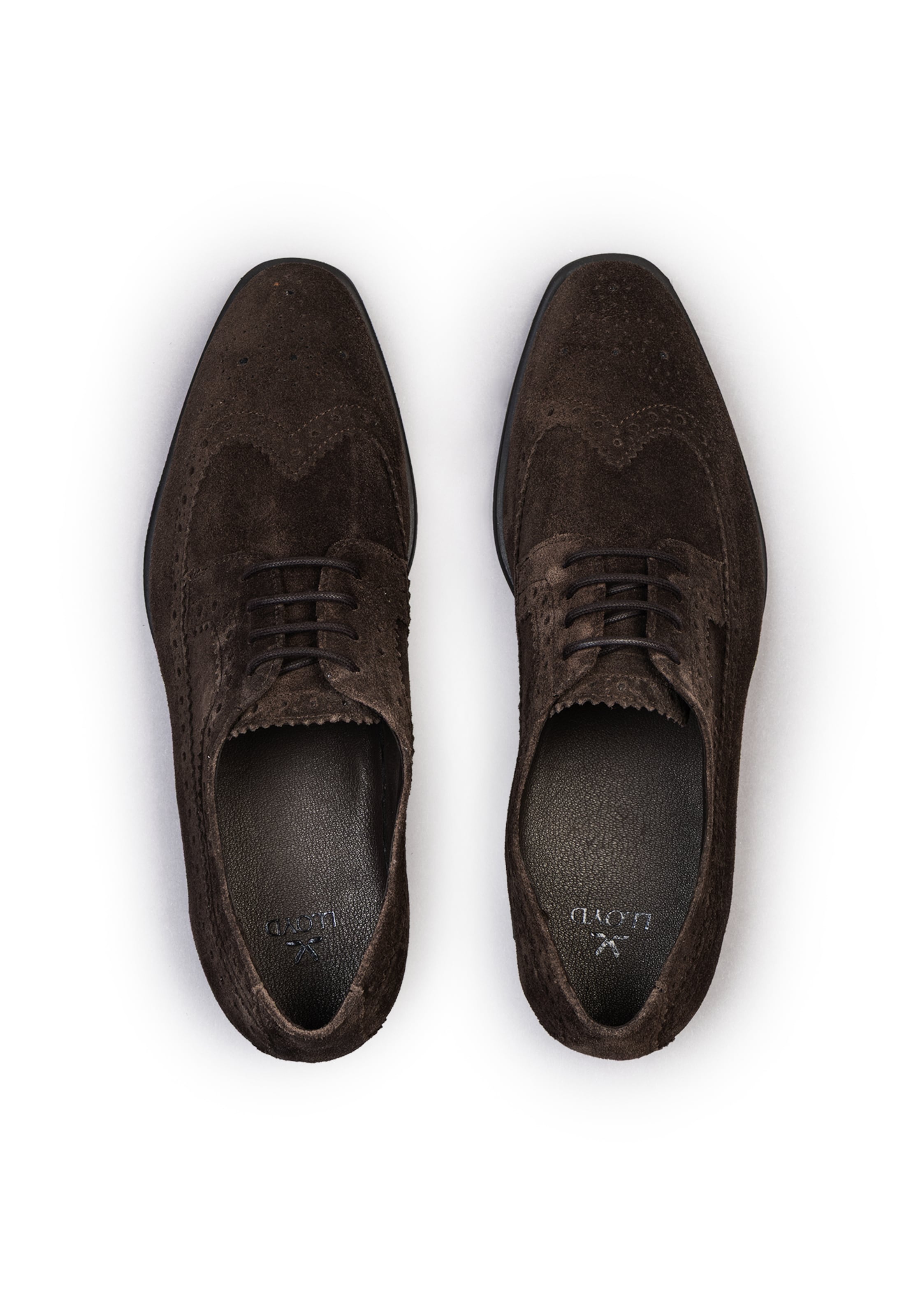 LLOYD Lace-up shoe in Brown