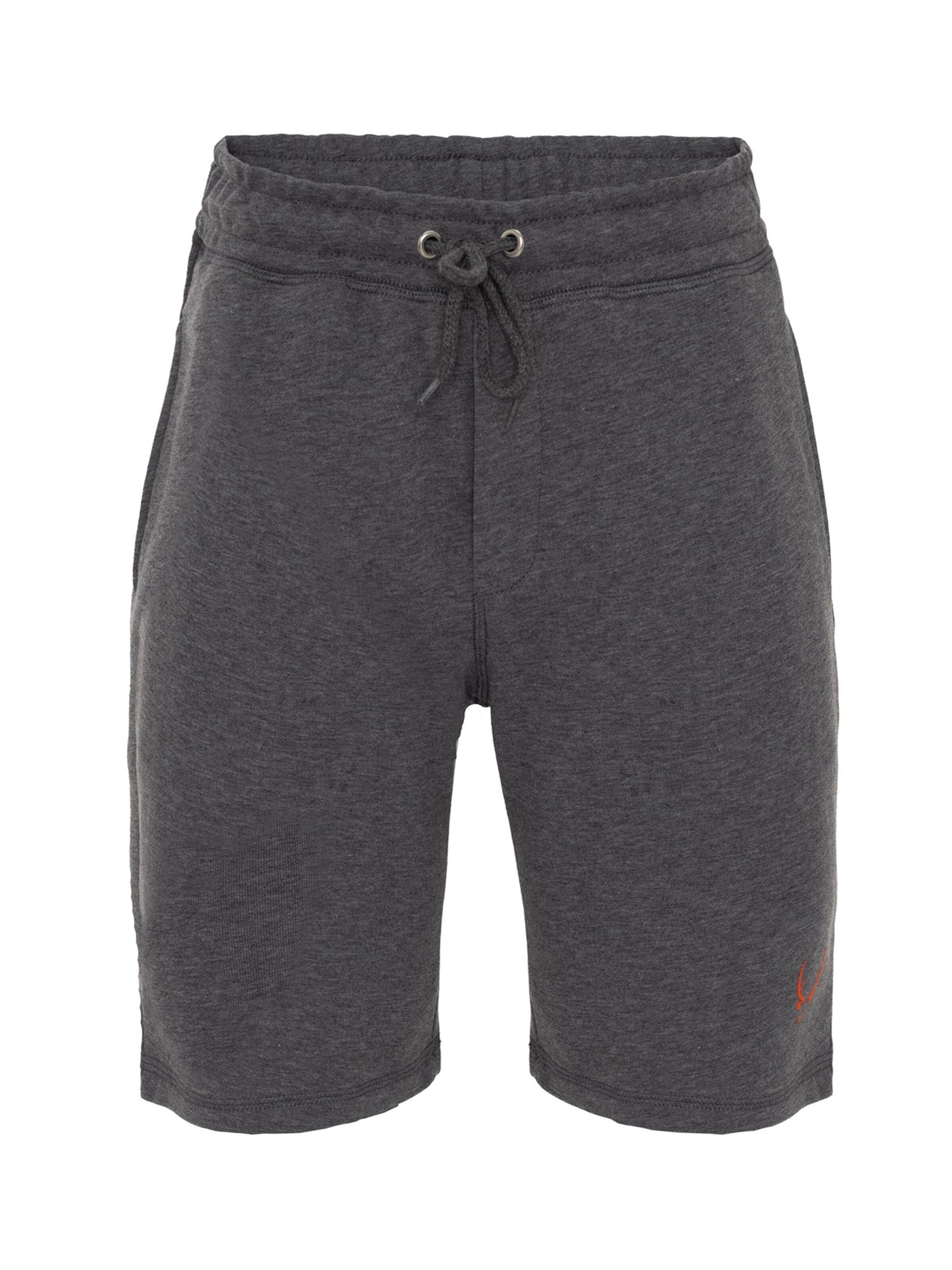 By Diess Collection regular Bukser i grå: forside