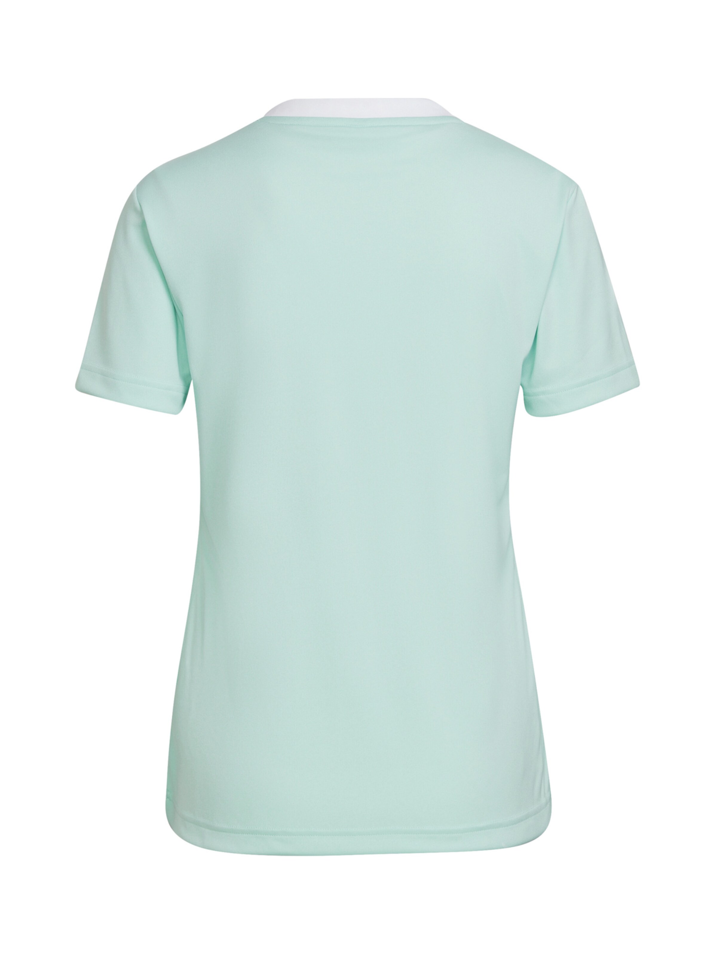 ADIDAS PERFORMANCE Trikot 'Entrada 22' in Grün