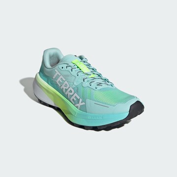 ADIDAS TERREX Outdoorschuh 'Agravic 3' in Blau