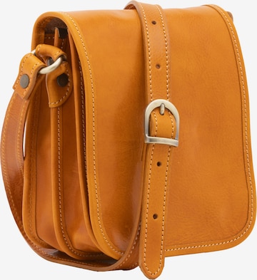 Viola Castellani Crossbody Bag in Brown: front